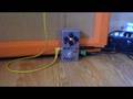 BYOC Mighty Mouse