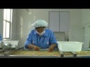 movingstill - Rizhao | selecting peanuts movingstill - Rizhao | selecting peanuts