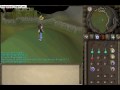 Barrows guide(very good)