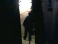 videos de graff1.1