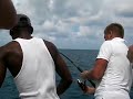 Bahamas Baracuda