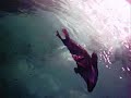 Taronga Zoo, Sydney, Australia, Part 1