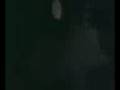 capitulo 8: cuentos de la perrada