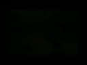 dazjlord Gamervid Two