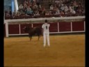 CONCURSO DE RECORTES BRIHUEGA