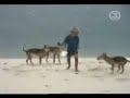 Flagras na Praia