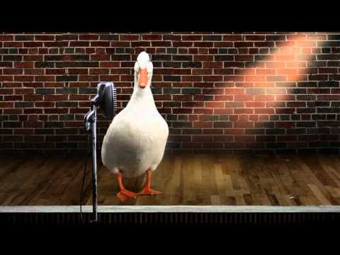 El pato más divertido de Internet vuelve con su vídeo currículum 0 El pato más divertido de Internet vuelve con su vídeo currículum