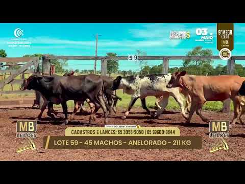 9� MEGA LEIL�O DA MB LEIL�ES