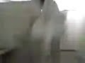 El saltamonte humano