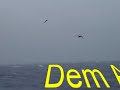 Drake-Passage 2 Drake-Passage 2