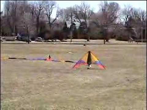Cerf-volant WAPITI+queue de 100 pieds