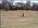 Cerf-volant WAPITI+queue de 100 pieds