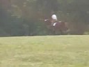 Scout SJ Loudon T