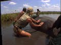 Cindy Garrison - Get Wild 2 Cindy Garrison - Get Wild 2