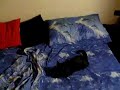 utti the cat