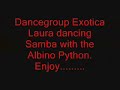 Snake dance snake show Dancing with my albino python