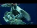  - MovieZen Video
