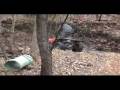 videos de some more stupidity