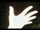 zbor-pe-pamant-Ralu-