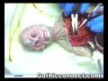 Gothic-Punk-Alien Autopsy Gothic-Punk-Alien Autopsy