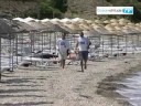 videos voile