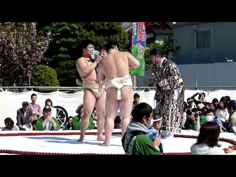 0 Japan’s Crying Sumo Contest — Loud Babies Wanted! picture