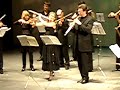 salieri concerto for flute and oboe m chepurina a utkin 1m