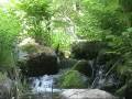Nature\