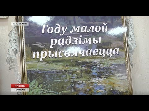 Год малой родины как стимул в укреплении позитивного имиджа местных территорий. Эту тему сегодня обсуждали в Брагине видео