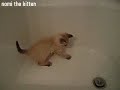 Nomi in the Bath Tub Nomi in the Bath Tub