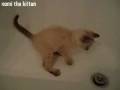 Nomi in the Bath Tub