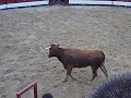 plaza sadaba`09 recortadores 2