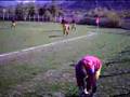 kozcagiz belediye spor