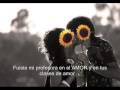 Aventura - Enseñame a Olvidar ( Mejor Video - slideshow )