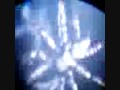 ���������(Ƭ��)���� adult lice:YouTube������=1,768��