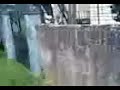 Andr� e a Burra
