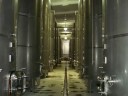 Petroagro - Vinos y Aceites Petroagro - Vinos y Aceites