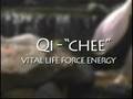 Qigong for Everyone DVD With Debi Dunn