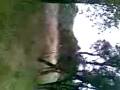 videos de cr125