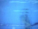 Leonard.wmv
