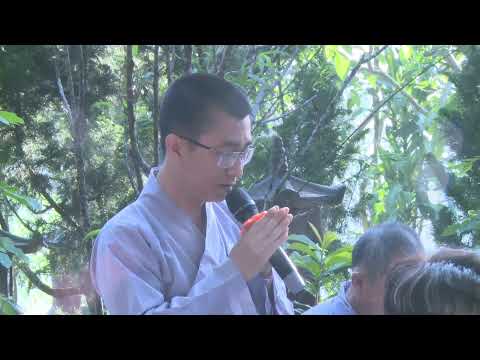 NIKAYA Thiền quán - Tinh Cần Giữa Phóng Dật *