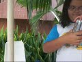 Coquetel 2 - LiaPANCADINHA