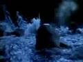 Titanic-Rave