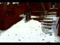 2008-12-30 | Jay Qui Fait Du Snow (1st time ) ~> Jay Yer Vm Le Best Ben Plus Fort Que Shaun White XD ... (01:28)