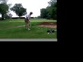 Chipping
