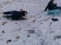 videos de Schlittencrash