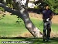 Perfect Tiger Woods Golf Swing Video