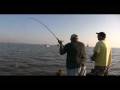 videos de CAT at Lake Millwood Fall 2008