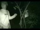 Investigative Investigations TRAILER Investigative Investigations TRAILER