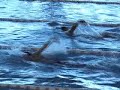 MEDALLA DE PLATA DE JESUS PULIDO EN 400 METROS ESTILOS